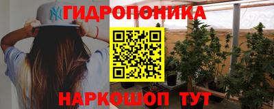 прущие грибы Можайск