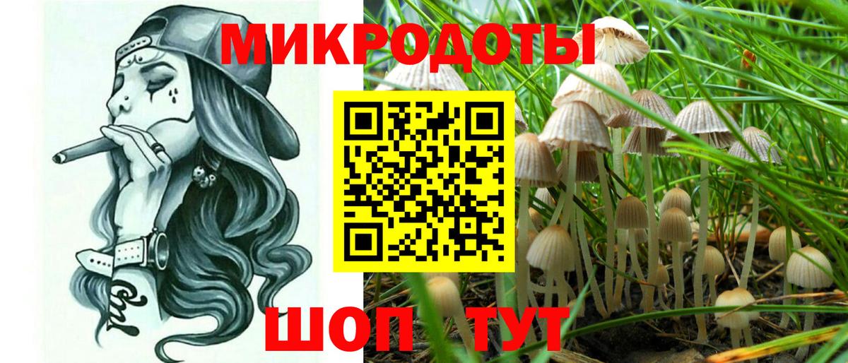 Псилоцибиновые грибы Psilocybe  Вход с VPN  Татарск  Галлюциногенные грибы мухоморы 
